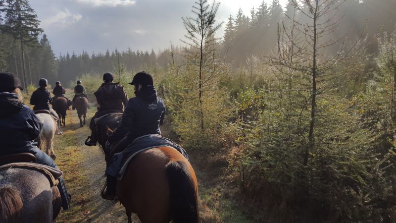 western trail ranch vielsalm paardrijden Ardennen