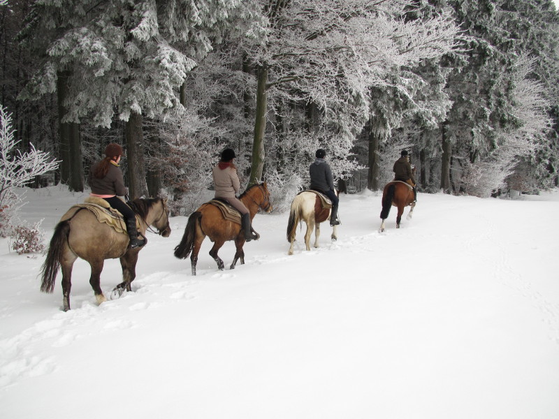 winter paardrijden december 2010