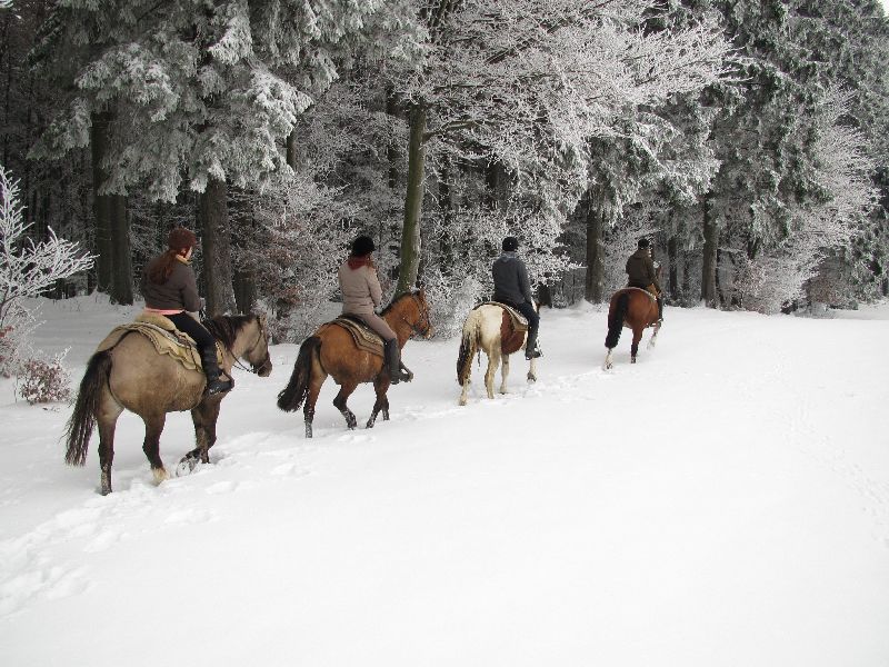 Paardrijden Ardennen Western Trail Ranch