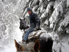 - es ist keine Bildbeschreibung verfügbar -