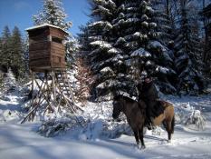- es ist keine Bildbeschreibung verfügbar -